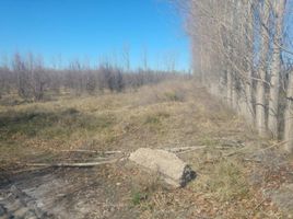  Terreno (Parcela) en venta en Rio Negro, General Roca, Rio Negro