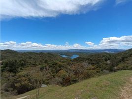  Land for sale in Guatape, Antioquia, Guatape