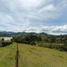 Terrain à vendre à Rionegro, Antioquia, Rionegro