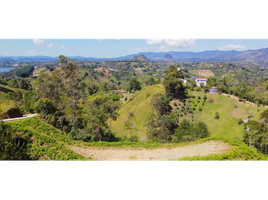  Terreno (Parcela) en venta en Penol, Antioquia, Penol, Antioquia