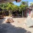  Terreno (Parcela) en venta en Maule, Maule, Talca, Maule