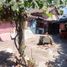  Terreno (Parcela) en venta en Maule, Maule, Talca, Maule