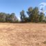  Terreno (Parcela) en venta en Chile, Pelarco, Talca, Maule, Chile