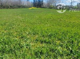  Terreno (Parcela) en venta en Chile, Pelarco, Talca, Maule, Chile