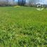  Land for sale in Pelarco, Maule, Pelarco, Talca