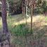  Terreno (Parcela) en venta en Maule, Vichuquen, Curicó, Maule
