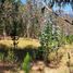  Terreno (Parcela) en venta en Maule, Vichuquen, Curicó, Maule