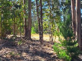  Terreno (Parcela) en venta en Maule, Vichuquen, Curicó, Maule