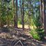  Land for sale in Vichuquen, Maule, Vichuquen, Curico