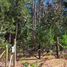  Terreno (Parcela) en venta en Maule, Vichuquen, Curicó, Maule