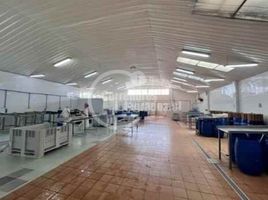  Land for sale in Chile, Quilpue, Valparaiso, Valparaiso, Chile