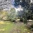  Land for sale in Maipo Santiago, Paine