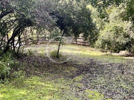  Land for sale in Maipo Santiago, Paine