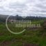  Terrain for sale in Ancud, Chiloe, Ancud