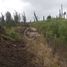  Terrain for sale in Ancud, Chiloe, Ancud