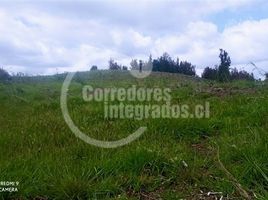  Terrain for sale in Ancud, Chiloe, Ancud