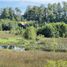  Land for sale in Chile, Mariquina, Valdivia, Los Rios, Chile