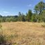  Land for sale in Chile, Mariquina, Valdivia, Los Rios, Chile