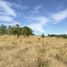  Land for sale in Chile, Mariquina, Valdivia, Los Rios, Chile