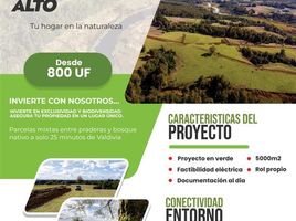  Land for sale in Chile, Mariquina, Valdivia, Los Rios, Chile