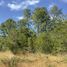  Land for sale in Chile, Mariquina, Valdivia, Los Rios, Chile
