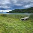  Land for sale in Los Rios, Futrono, Ranco, Los Rios