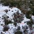  Land for sale in Nuble, Chillan, Diguillin, Nuble