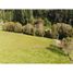  Land for sale in Llanquihue, Los Lagos, Puerto Varas, Llanquihue