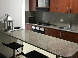 2 Habitación Apartamento en alquiler en Parque de los Pies Descalzos, Medellín, Medellín