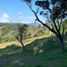  Land for sale in Rionegro, Antioquia, Rionegro
