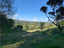  Land for sale in Rionegro, Antioquia, Rionegro