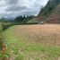 Terrain à vendre à Retiro, Antioquia, Retiro