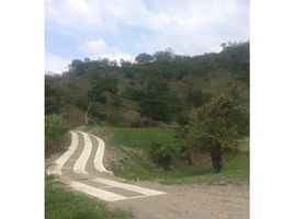  Land for sale in Villeta, Cundinamarca, Villeta