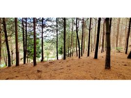  Land for sale in Bare Foot Park (Parque de los Pies Descalzos), Medellin, Medellin