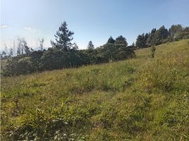  Grundstück zu verkaufen in Guarne, Antioquia, Guarne, Antioquia