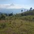  Grundstück zu verkaufen in Guarne, Antioquia, Guarne, Antioquia