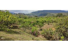  Terreno (Parcela) en venta en El Cerrito, Valle Del Cauca, El Cerrito