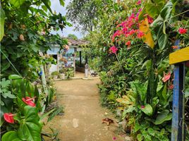 Estudio Casa en venta en Colombia, Filandia, Quindio, Colombia