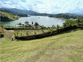  Terreno (Parcela) en venta en San Andres De Cuerquia, Antioquia, San Andres De Cuerquia