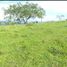  Land for sale in San Jeronimo, Antioquia, San Jeronimo