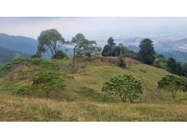  Land for sale in El Cerrito, Valle Del Cauca, El Cerrito