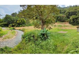 Studio House for sale in Antioquia, Betania, Antioquia