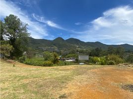  Land for sale in El Carmen De Viboral, Antioquia, El Carmen De Viboral