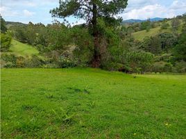  Grundstück zu verkaufen in Retiro, Antioquia, Retiro