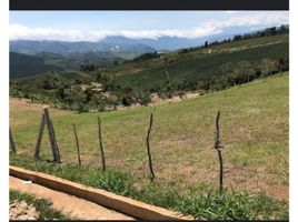  Terreno (Parcela) en venta en Dagua, Valle Del Cauca, Dagua