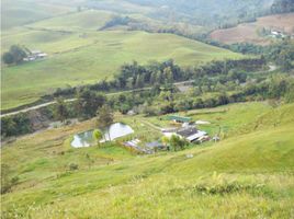 4 Habitación Villa en venta en Caldas, Manizales, Caldas