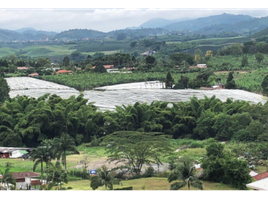  Terreno (Parcela) en venta en Manizales, Caldas, Manizales