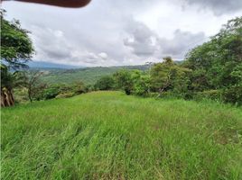  Terreno (Parcela) en venta en Fusagasuga, Cundinamarca, Fusagasuga