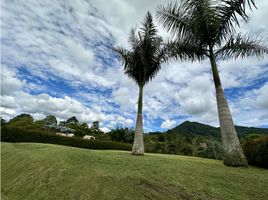  Terreno (Parcela) en venta en La Ceja, Antioquia, La Ceja