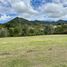  Land for sale in La Ceja, Antioquia, La Ceja